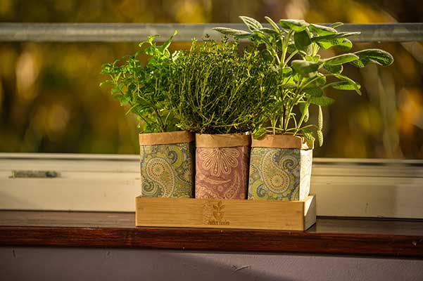 Pocket-Box handcrafted